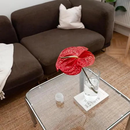 Old Town Oasis - Chic Comfort & Elegance Appartamento Bratislava