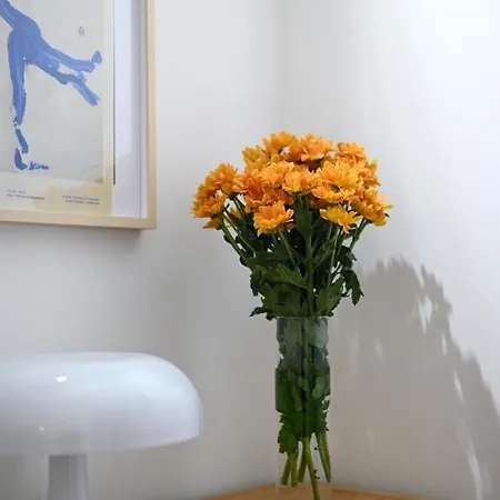Old Town Oasis - Chic Comfort & Elegance Apartmán Bratislava